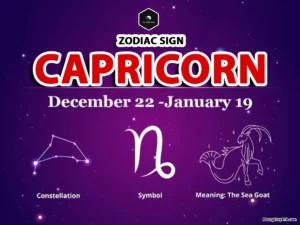 Capricorn zodiac sign
