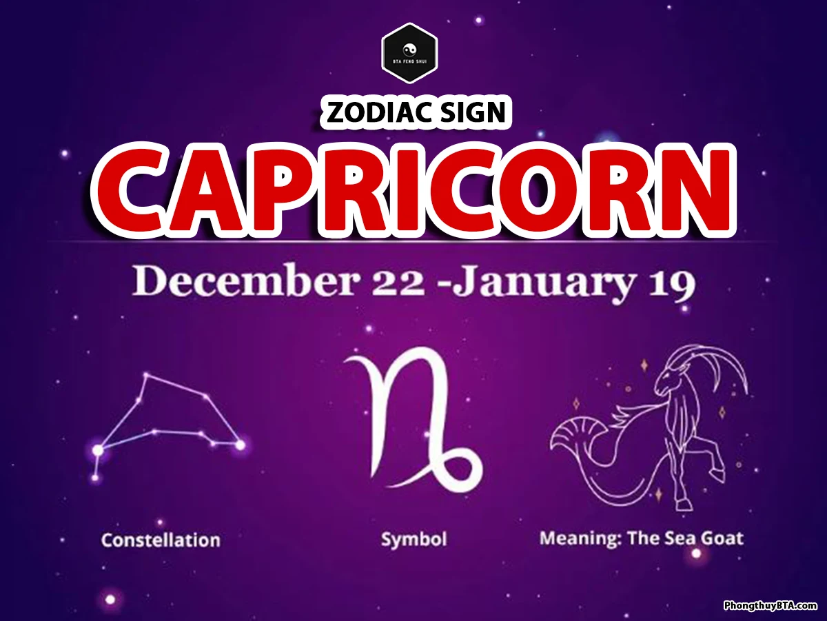 Capricorn zodiac sign
