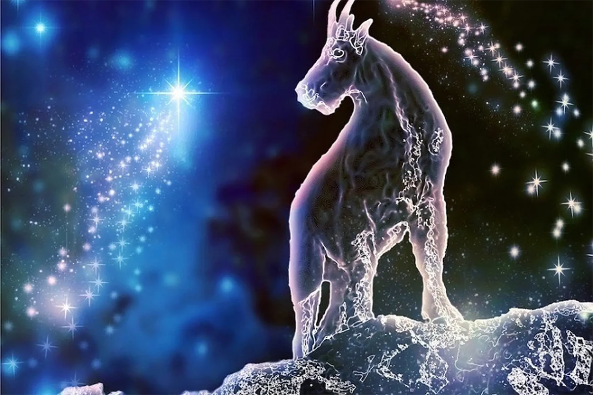 capricorn horoscope zodiac