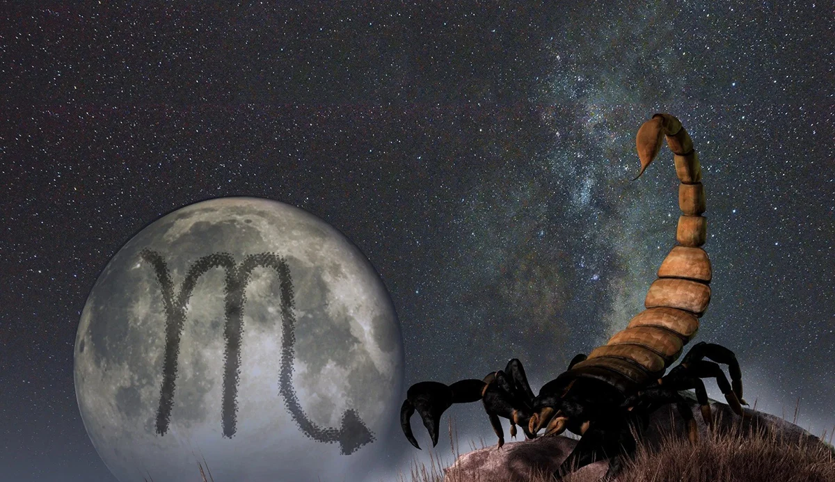 Scorpio Career and Money