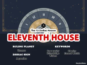 Eleventh House